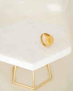 18kt gold plated stainless steel signet ring