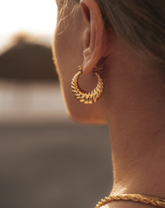 Everyday earrings