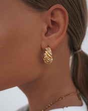 Load image into Gallery viewer, 18kt gold plated earrings with zirconias